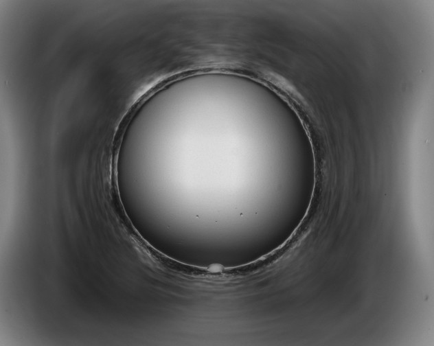 X0000085791220200703301444