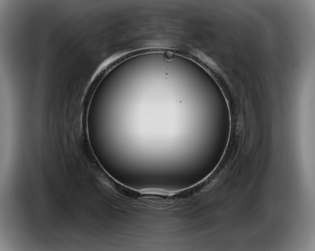 X0000085791222200703301444