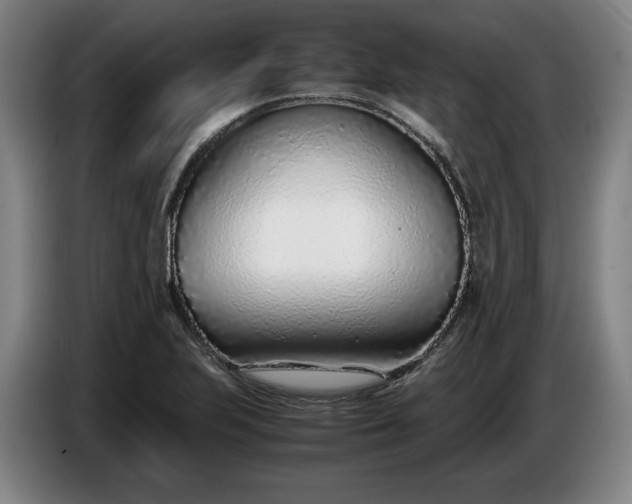 X0000085791223200703301444