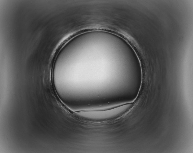 X0000085791224200703301444