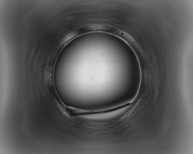 X0000085791225200703301444