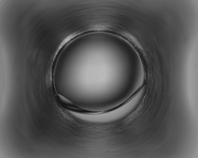 X0000085791226200703301444