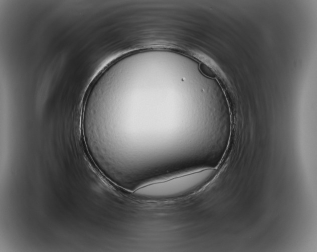 X0000085791228200703301444