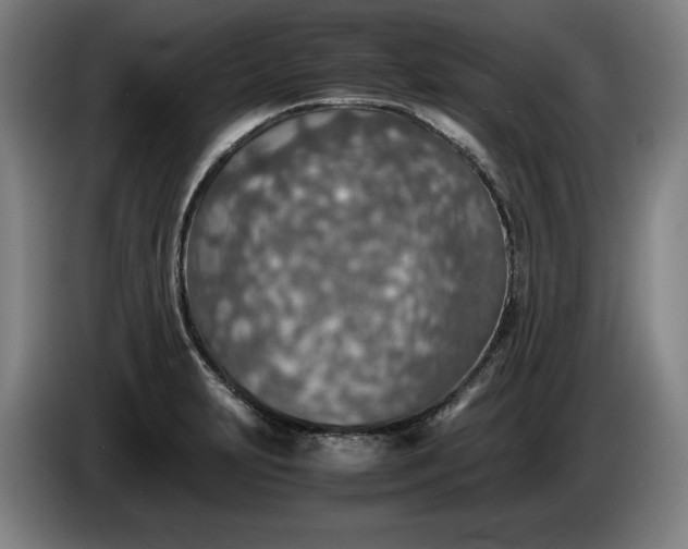 X0000085791231200703301444