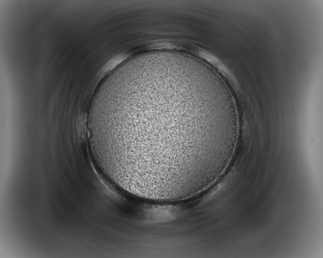 X0000085791233200703301444
