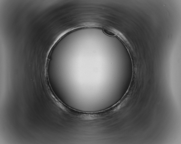 X0000085791236200703301444