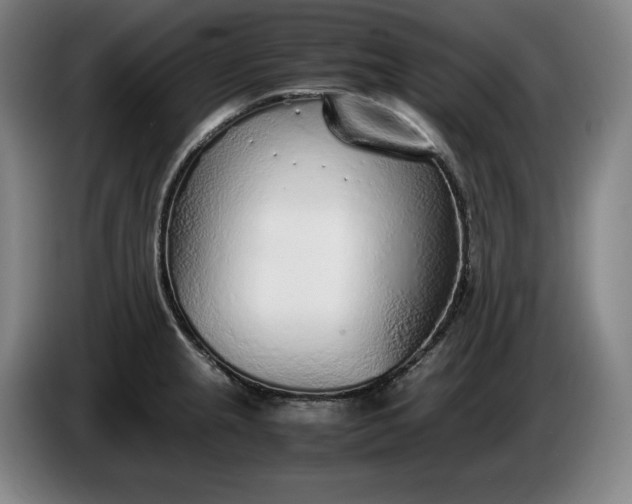 X0000085791237200703301444
