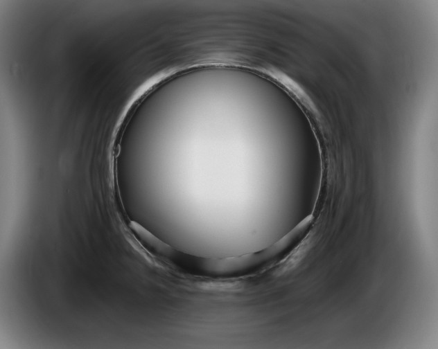 X0000085791238200703301444