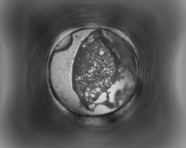 X0000085791239200703301444