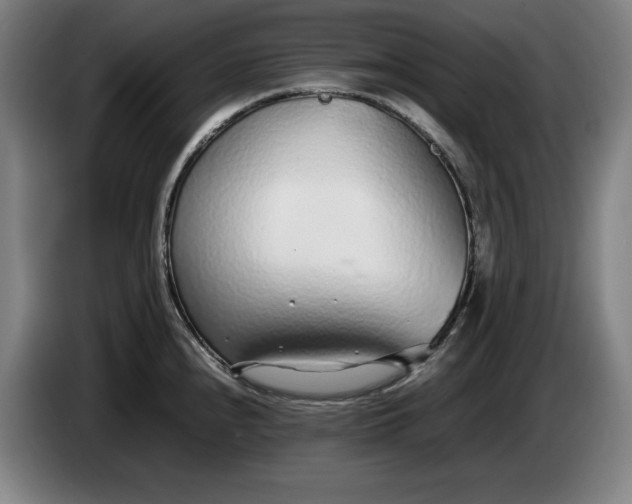 X0000085791240200703301444