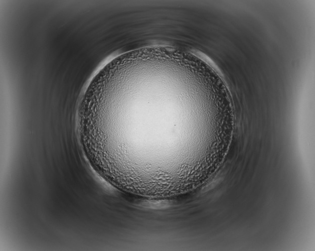 X0000085791243200703301444