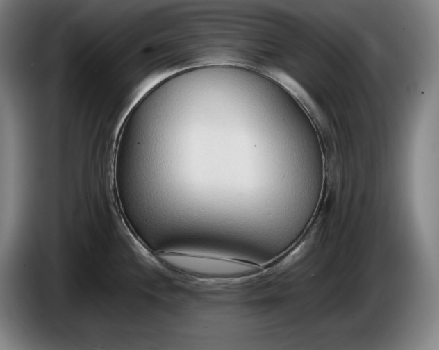 X0000085791244200703301444