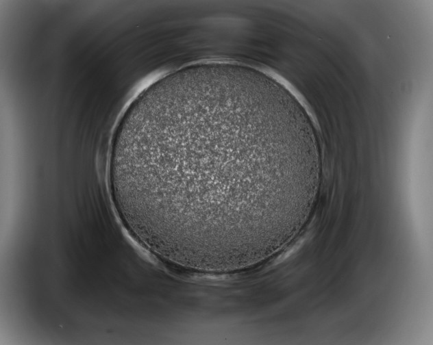 X0000085791245200703301444