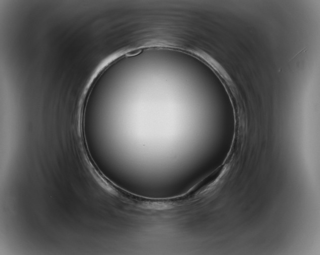 X0000085791246200703301444