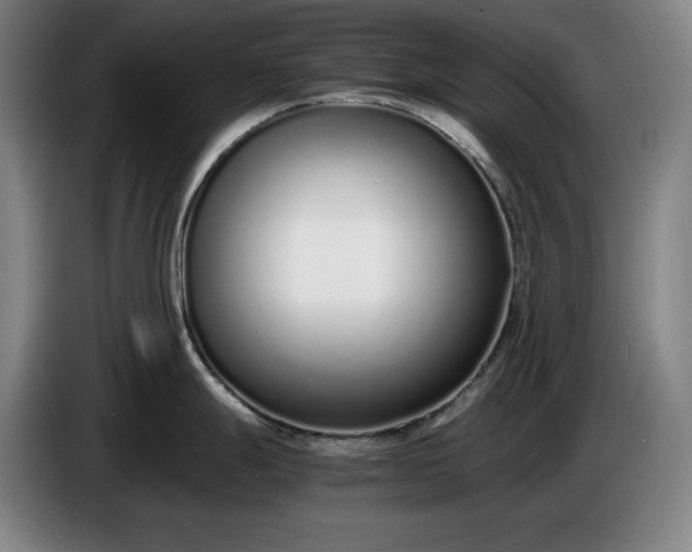 X0000085791247200703301444