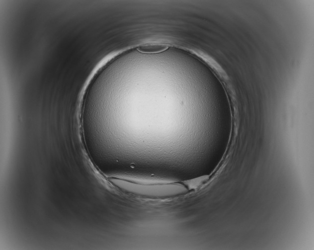 X0000085791248200703301444
