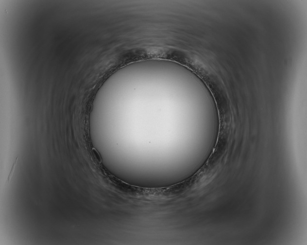 X0000085791249200703301444