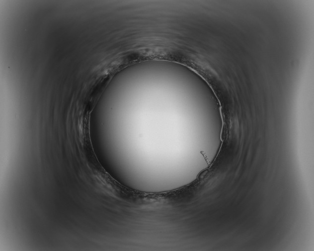 X0000085791250200703301444