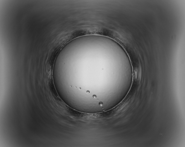 X0000085791251200703301444