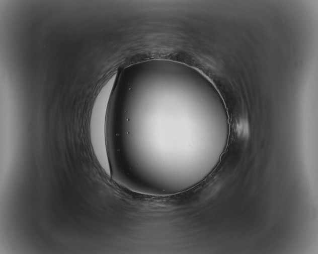 X0000085791252200703301444