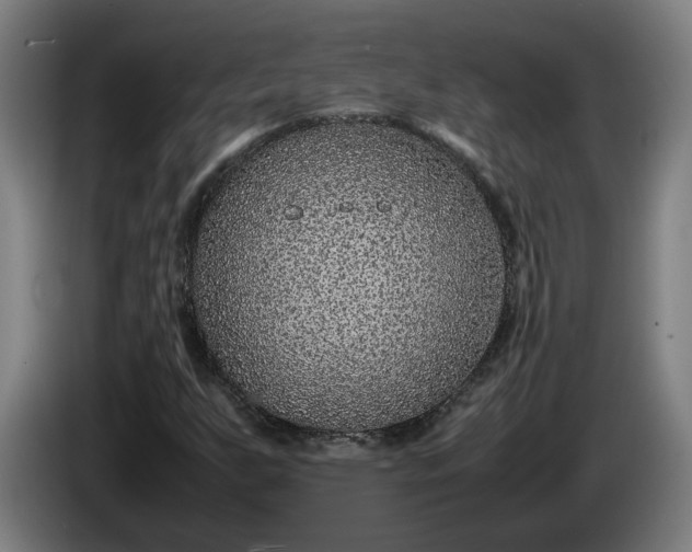 X0000085791255200703301443