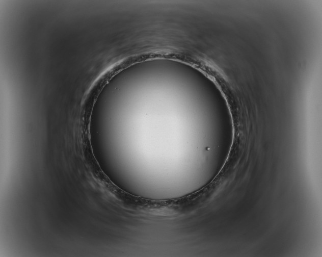 X0000085791256200703301443