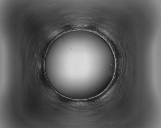 X0000085791257200703301443