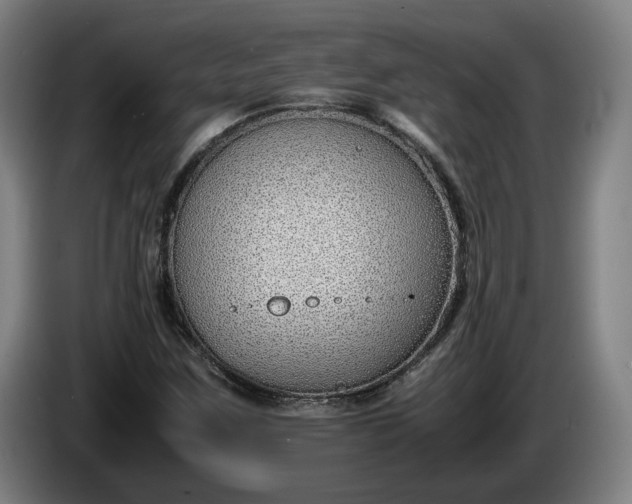X0000085791259200703301443