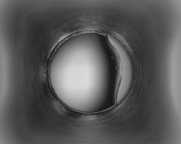 X0000085791260200703301443