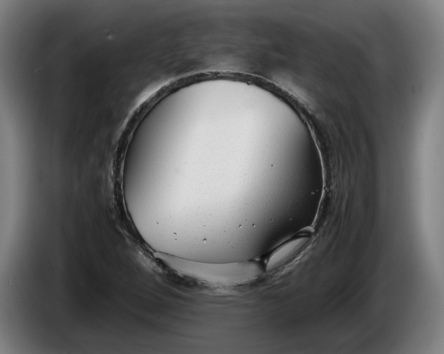 X0000085791264200703301443