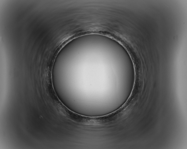 X0000085791265200703301443