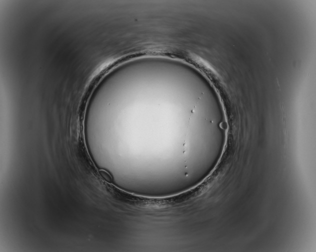 X0000085791267200703301443