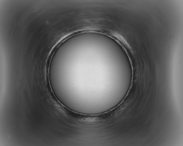 X0000085791268200703301443