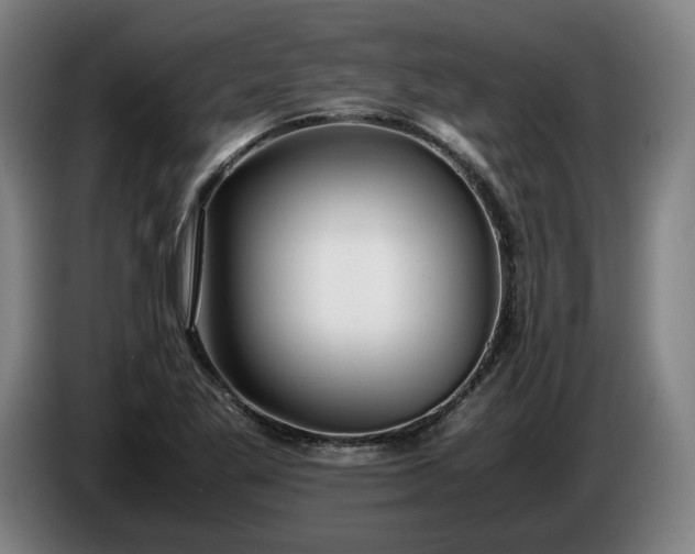 X0000085791269200703301443