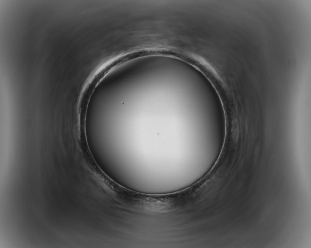 X0000085791270200703301443