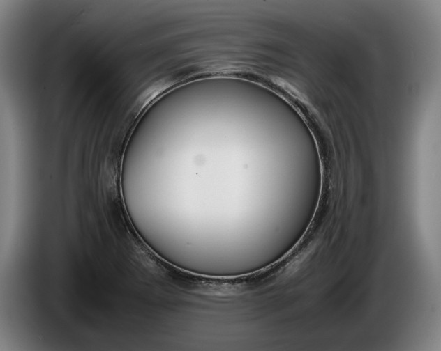 X0000085791273200703301443