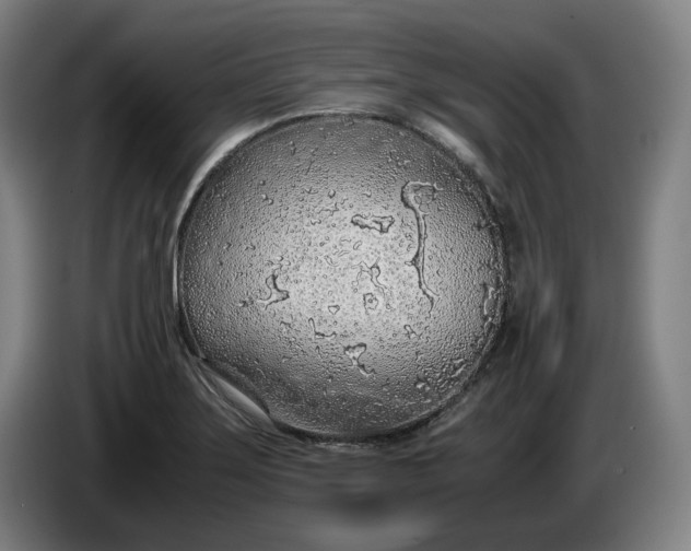 X0000085791275200703301443
