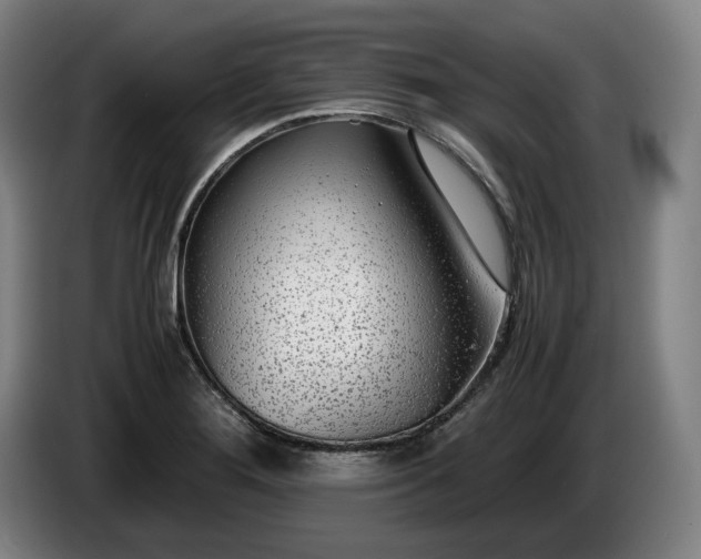 X0000085791276200703301443