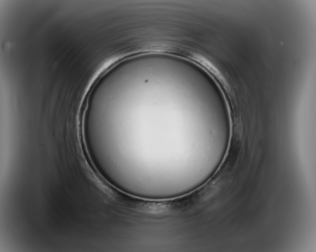 X0000085791283200703301443