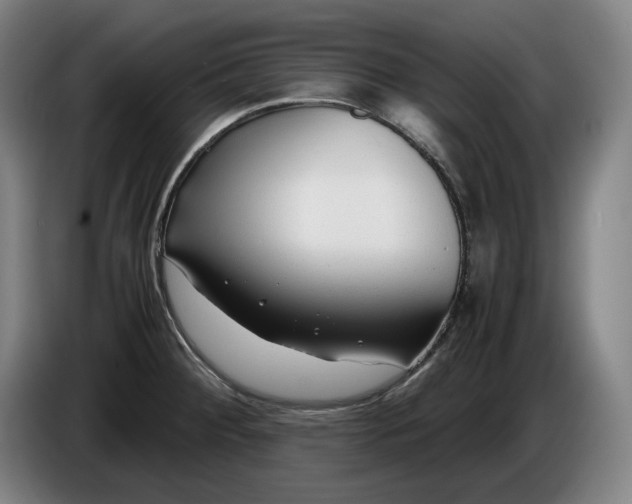 X0000085791284200703301443