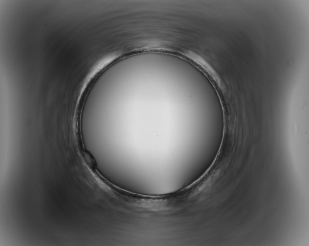 X0000085791285200703301443