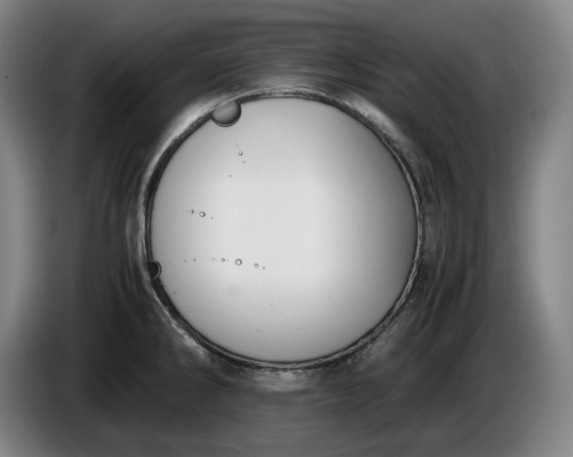 X0000085791286200703301443