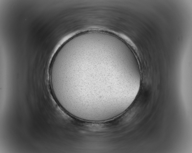 X0000085791287200703301443