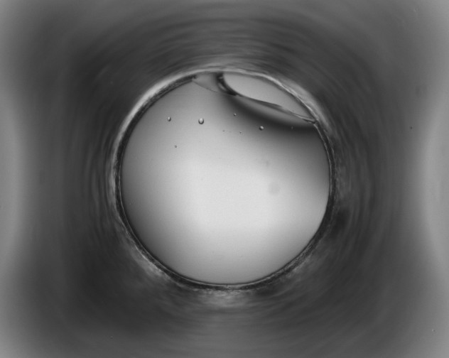 X0000085791288200703301443