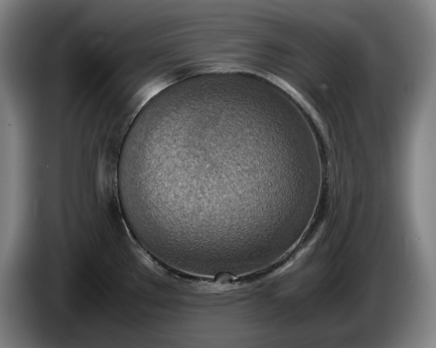 X0000085791289200703301443