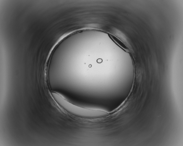 X0000085791292200703301443