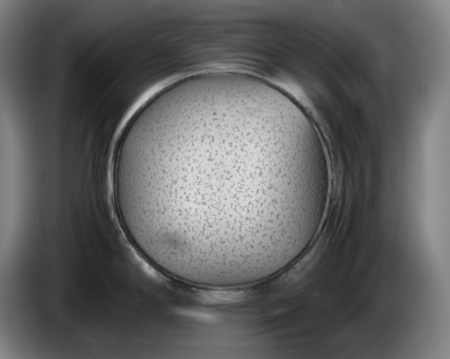 X0000085791294200703301443