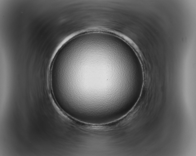 X0000085791295200703301443