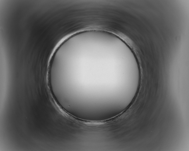 X0000085791296200703301443