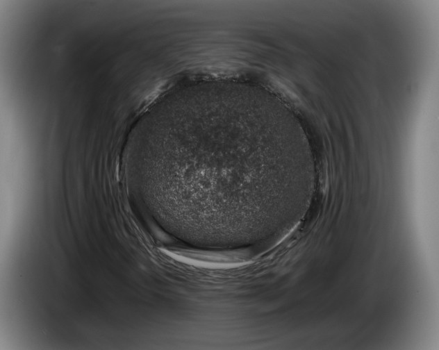 X0000085791298200703301442